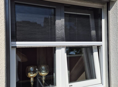 Perfekter Insektenschutz für Fenster – Mehr Komfort in Ihrem Zuhause