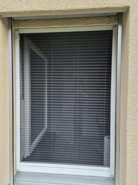 Neuex-Insektenschutz